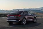 Audi Q8 E-Tron Sportback 50 340 KM