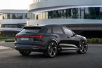 Audi SQ8 S 503 KM