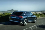 Audi SQ8 4.0 V8 TFSI 507 KM