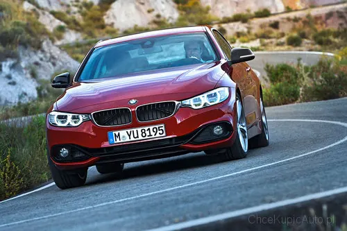 Zdjęcie 12