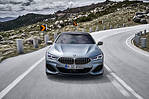 BMW M850i G16 530 KM