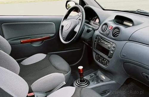 Zdjęcie 6