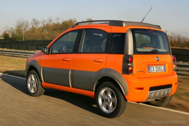 Fiat Panda II 1.2 60 KM 2004 hatchback 5dr skrzynia ręczna