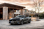 Ford Mustang VI FL 5.0 V8 450 KM