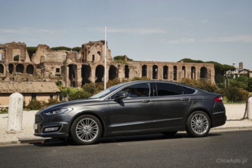 Zdjęcie 11