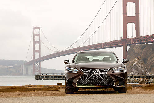 Zdjęcie 17