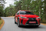 Lexus UX 250h 178 KM