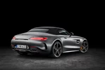 Mercedes-AMG GT C 4.0 V8 557 KM 2018