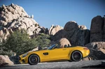 Mercedes-AMG GT C 4.0 V8 557 KM 2018