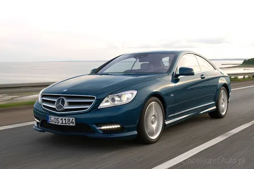 Zdjęcie 19