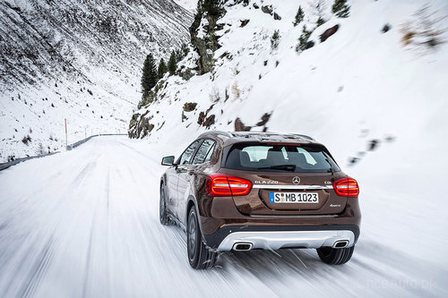 Zdjęcie 24