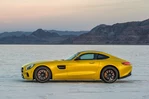 Mercedes-AMG GT  4.0 V8 462 KM 2017