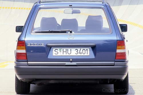 Zdjęcie 11