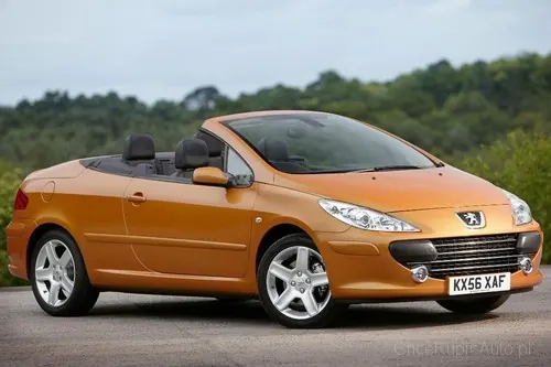 Peugeot 307 2.0 RC 177 KM 2006