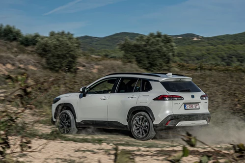 Zdjęcie 24