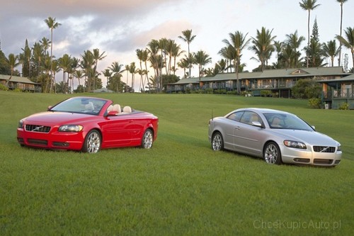 Zdjęcie 3